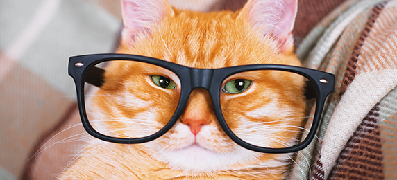 the-real-eyeglasses-warranty